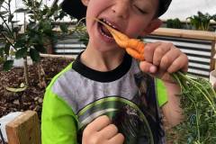 51565978_2042967855757097_4851991732151123968_n