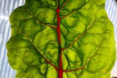 72597916_2450544651666080_1066972427260526592_n