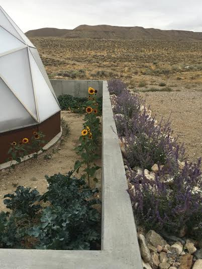 Desert Greenhouse