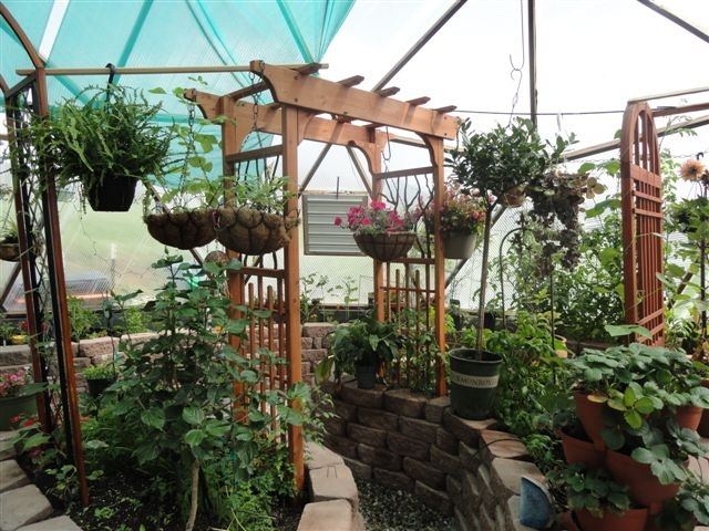 33 foot geodesic dome greenhouse