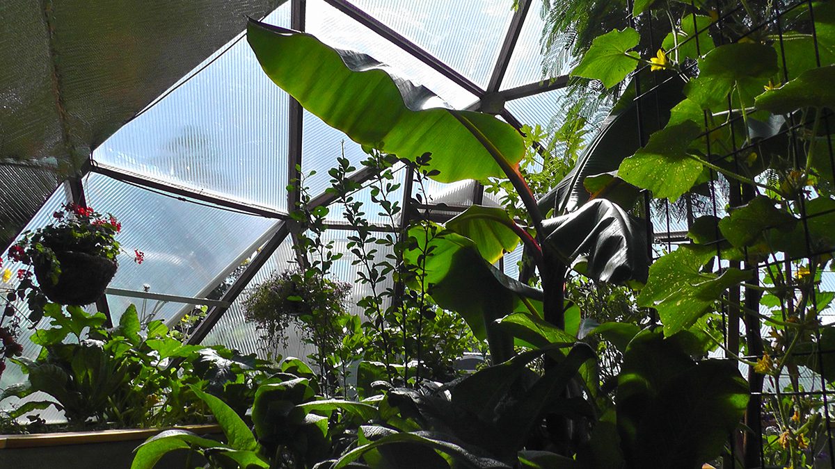 geodesic-dome-greenhouses-26-growingspaces