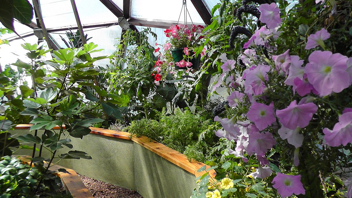 26 foot geodesic dome greenhouse