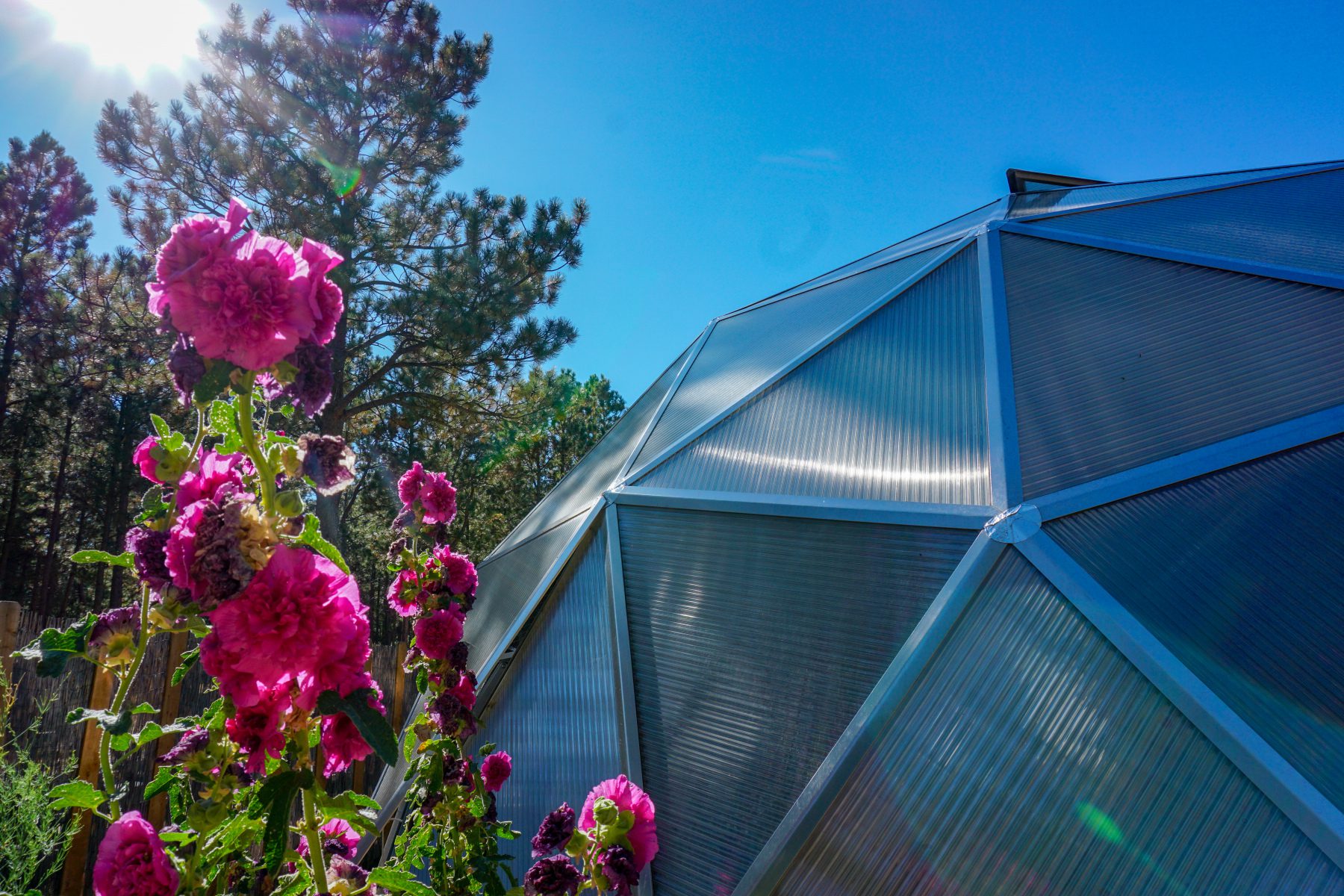 Hollyhock Dome Greenhouse