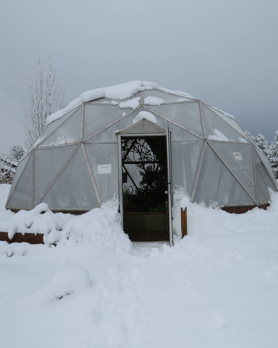Growing Dome in winter