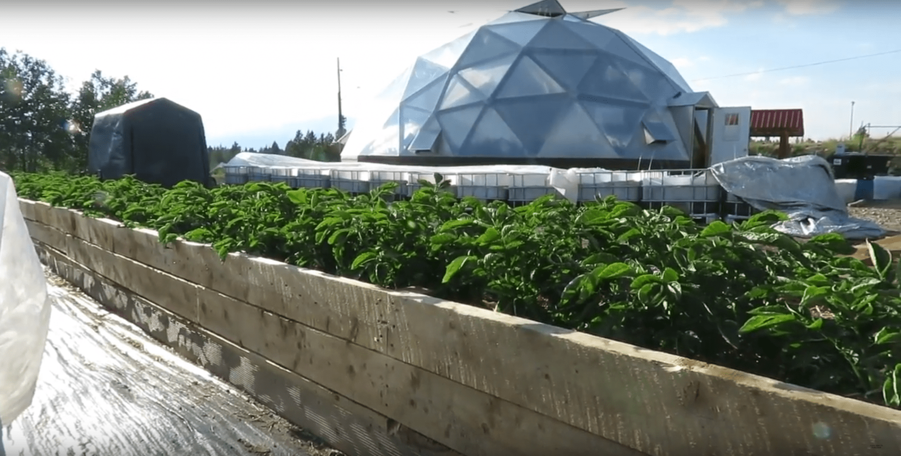 Cloud City Leadville Geodesic Greenhouse