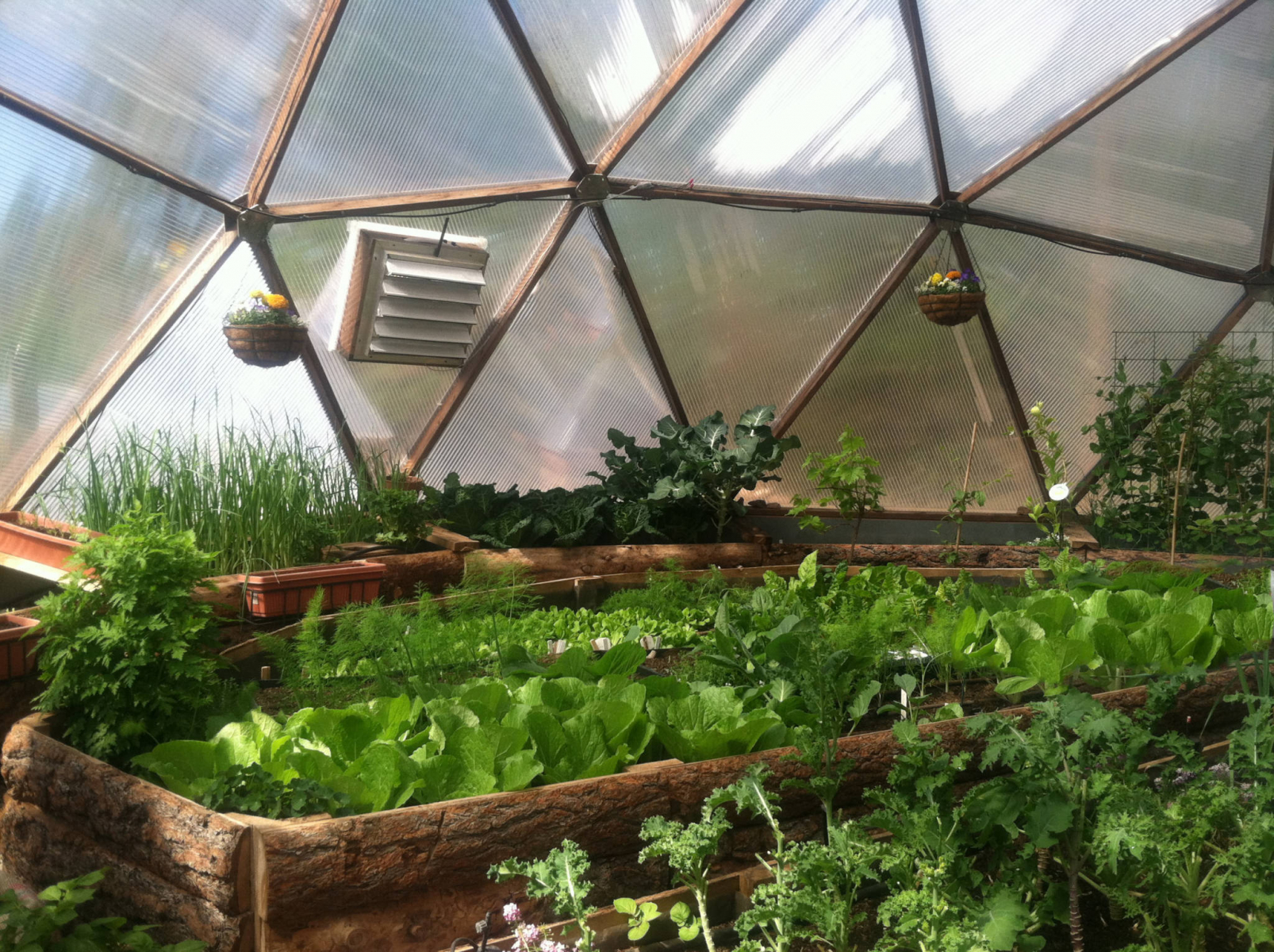Sierra Food Hub Growing Dome Greenhouse