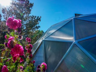 Hollyhock Dome Greenhouse