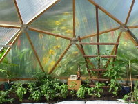 Polycarbonate on Geodesic Dome Greenhouse