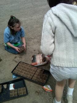 Planting seeds in flats 1 - Growing Spaces Greenhouses planting seeds for the dome greenhouse