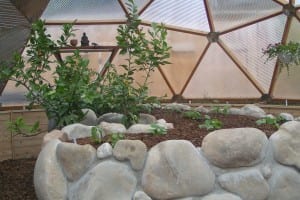 rock and concrete raised garden bed design