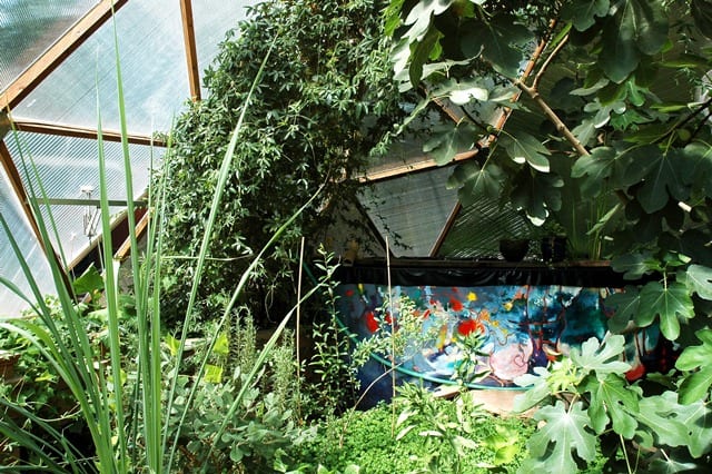 Naropa_ENV-Permaculture_LM_003 web - Growing Spaces Greenhouses
