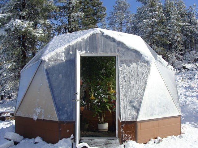 Tropical Flowers in Winter-Growing Spaces