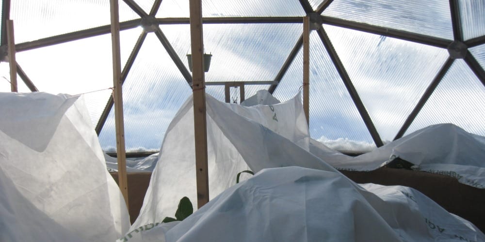 floating row cover in the greenhouse