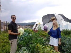 two people harvesting cabbages in front of a greenhouse from a direct sow garden