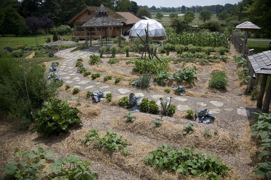 growing food revolution