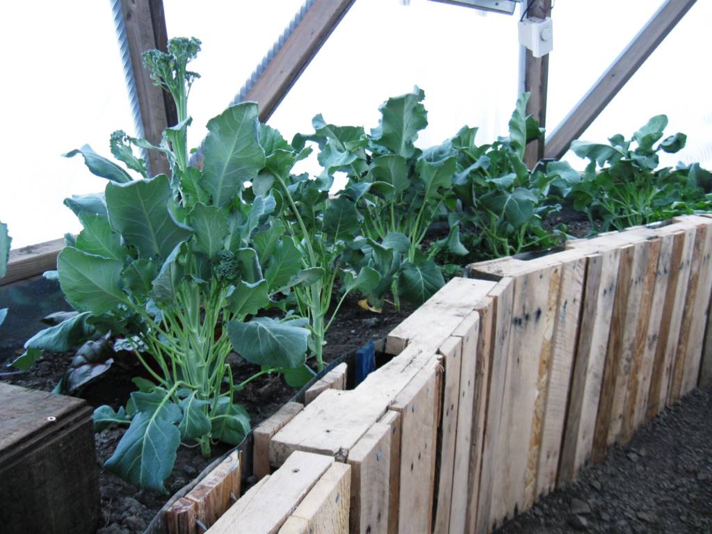 Recycled Material Raised Garden Bed
