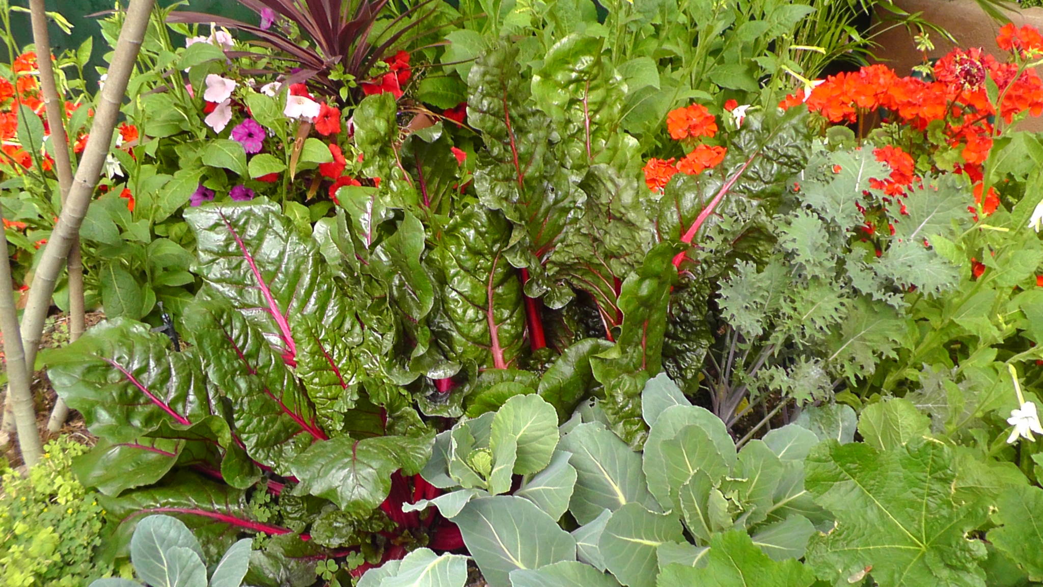 Greenhouse gardening