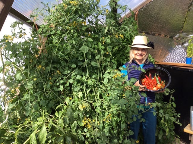Puja Parsons at Native Roots web - Growing Spaces Greenhouses Puja Dhyan Parsons Growing Spaces Owner