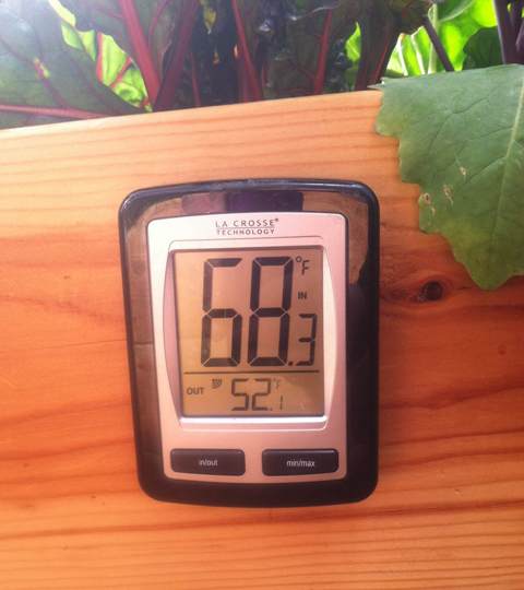 Growing Dome Thermometer