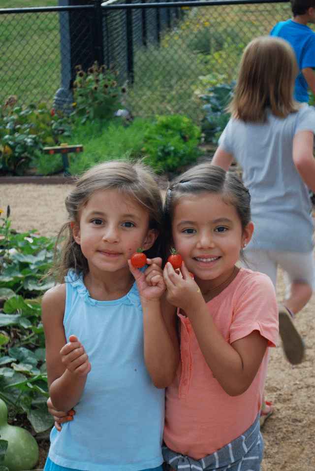 children with fresh picked strawberries