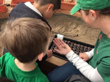 Kids-Planting-Seeds-web - Growing Spaces Greenhouses Kids-Planting-Seeds-web