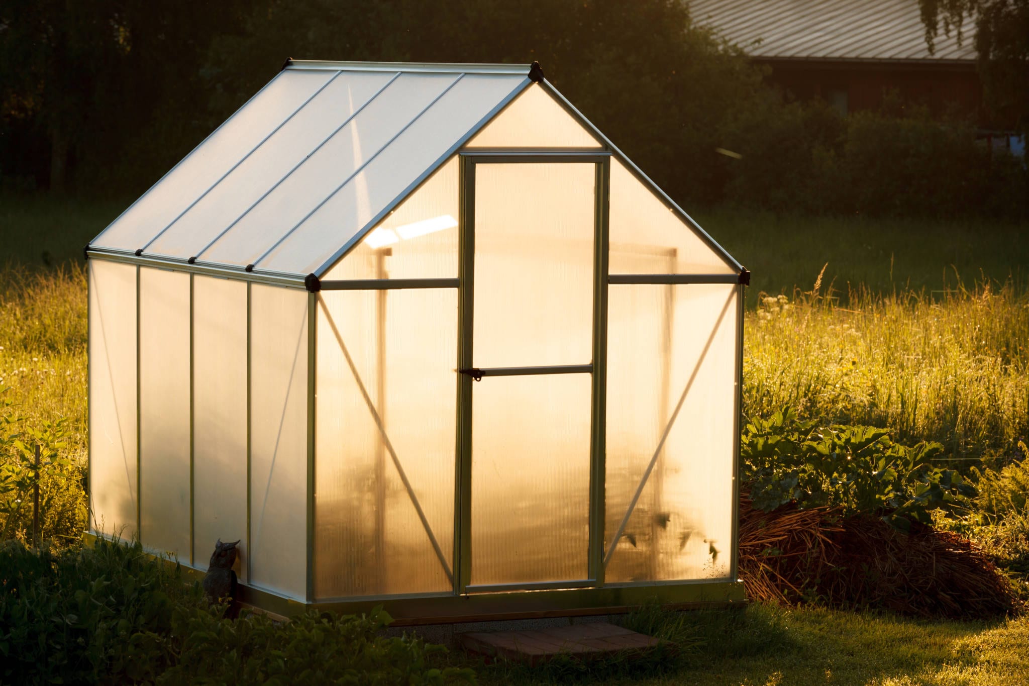 Small greenhouse in backyard - Growing Spaces Greenhouses Small greenhouse in backyard