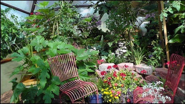the growing food revolution - Growing Spaces Greenhouses the growing food revolution