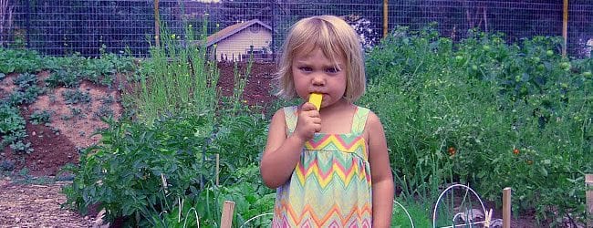 little girl eating a plant in a community gardens