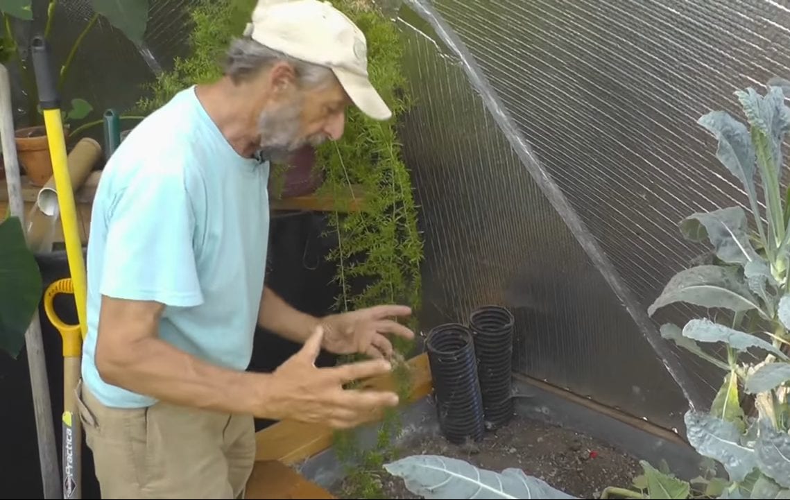 Udgar explaining the undersoil ventilation system standing in front of a raised bed with pipe ends protruding