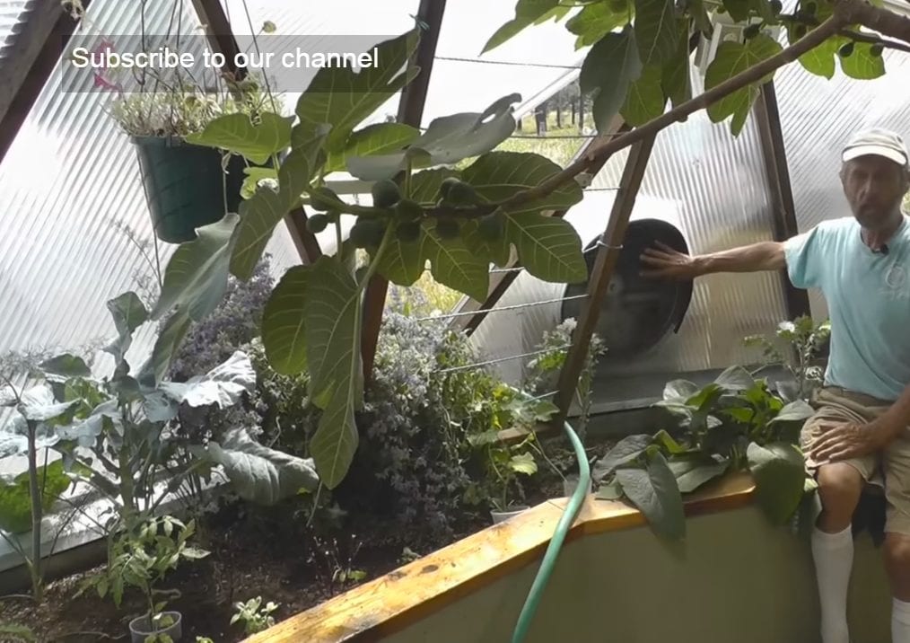 keep your greenhouse cool