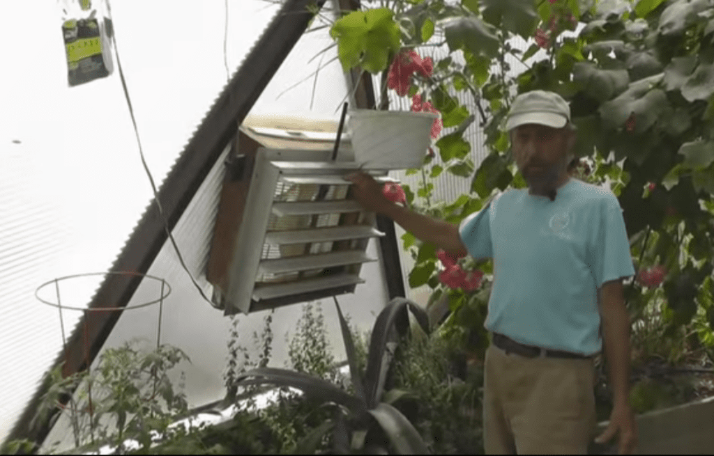 person holding onto the open louvers of the exhaust fan inside a dome explaining how to cool a greenhouse
