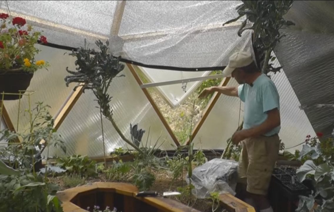 How to Cool a Greenhouse Growing Spaces Greenhouses