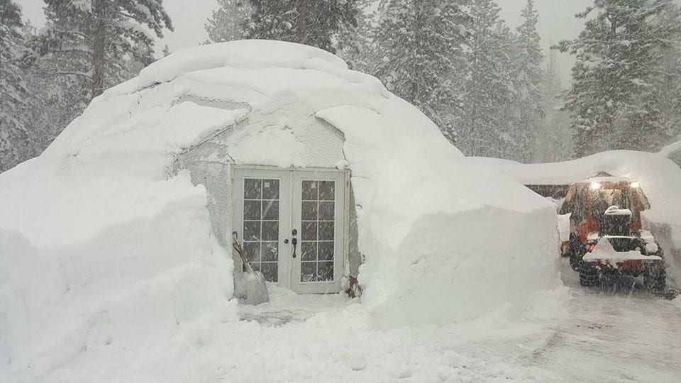 gardening in the snow