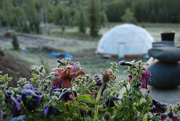 Frost1 - Growing Spaces Greenhouses Growing Spaces Open House