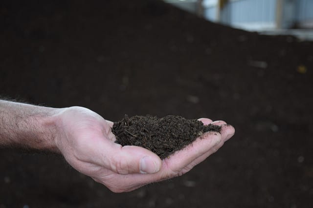15247160284_f42a27e621_z - Growing Spaces Greenhouses soil amendment
