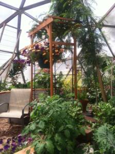 thankful for a forest garden inside Growing Dome