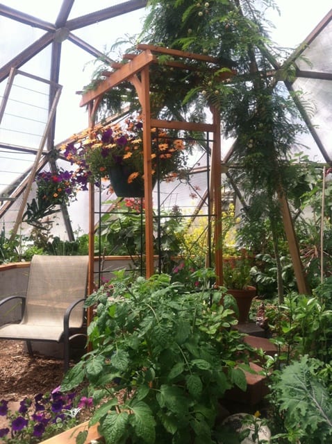 ForestGardenWEB - Growing Spaces Greenhouses Growing Spaces Open House