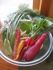carrots from Growing Dome