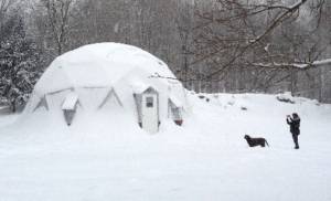 Growing Dome in snow with dog
