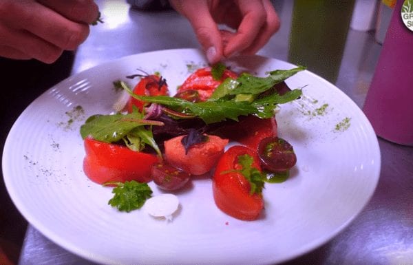 salad in a farm-to-table greenhouse