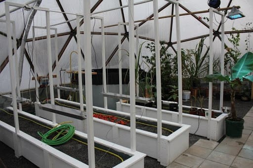 Aquaponics in Growing Dome Greenhouse in Sweden