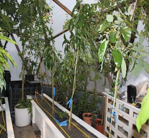 Aquaponics Bed in Growing Dome Greenhouse in Sweden