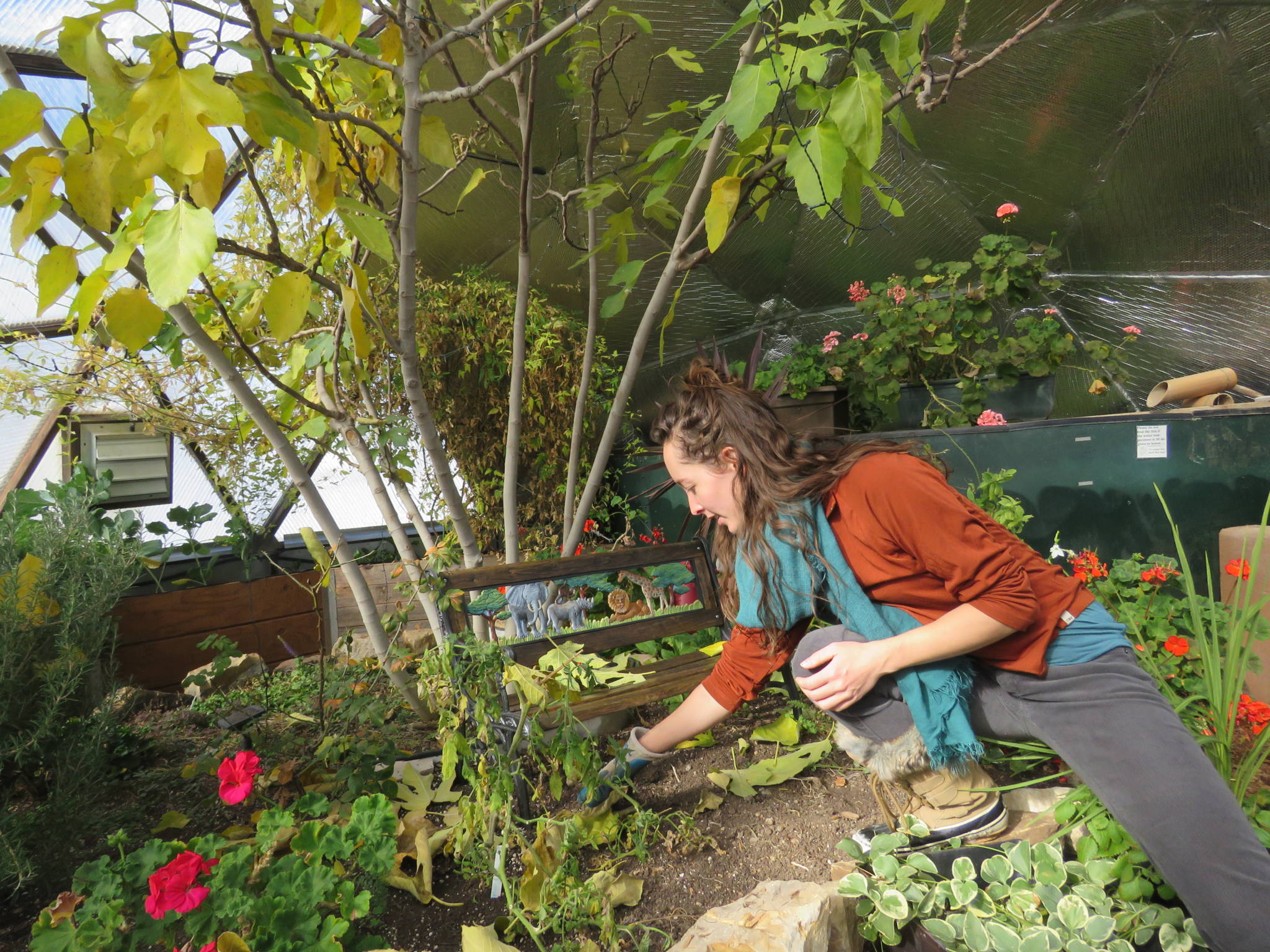 seed saving in a geodesic dome greenhouse