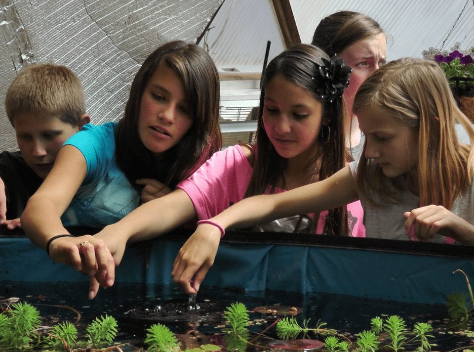 School Kids learning in a Growing Dome Greenhouse above ground pond