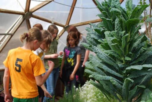 22 PIC w Kids and kale - Growing Spaces Greenhouses Garden Grant for School Growing Dome