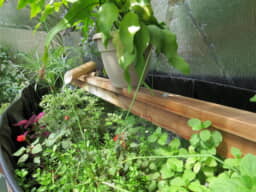 Above Ground Pond Thermal Mass in Greenhouse - Growing Spaces Greenhouses Above Ground Pond Thermal Mass in the Greenhouse