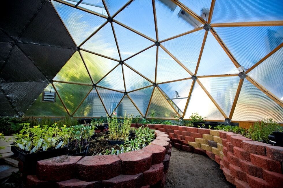 pavestone raised beds in Growing Dome greenhouse