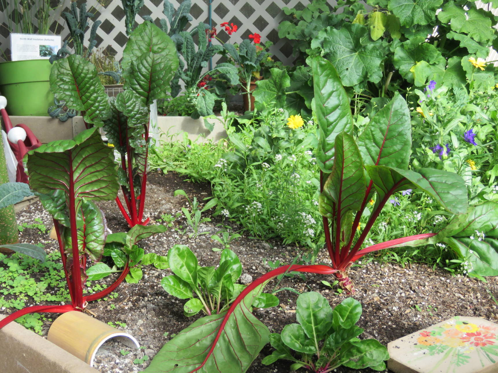 Greenhouse Gardening Best Practices - Growing Spaces Greenhouses