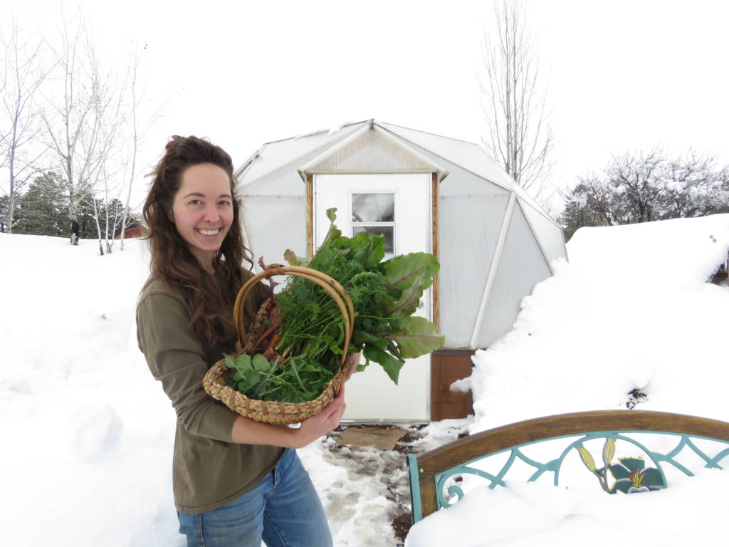 harvesting from a winter greenhouse