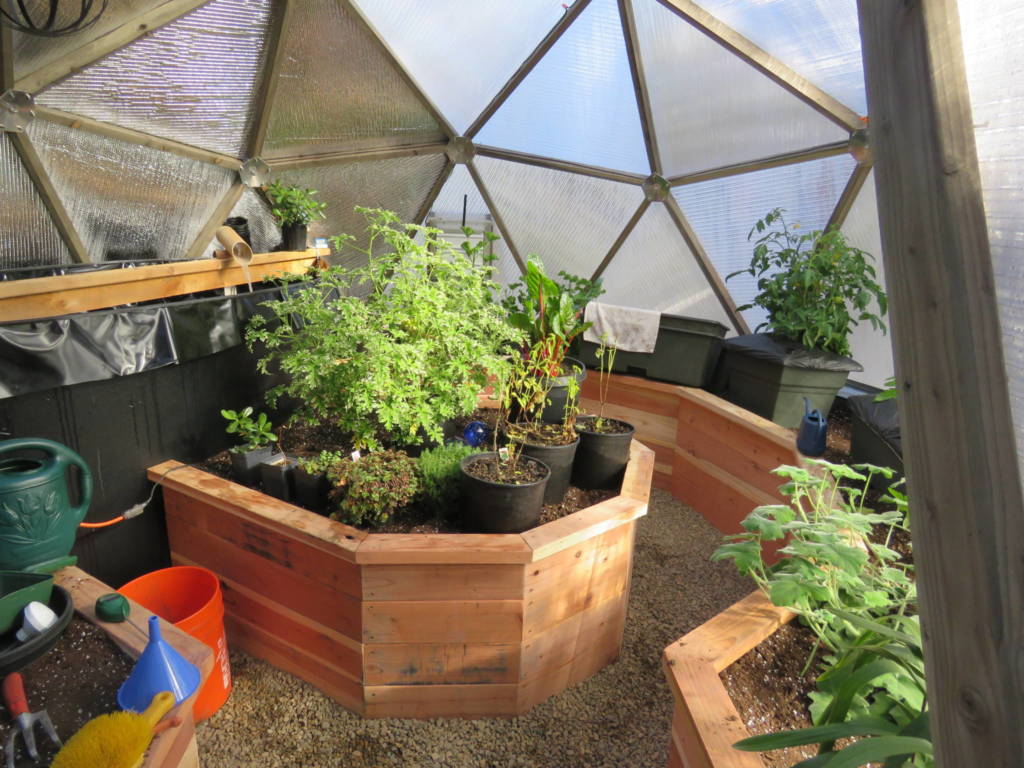 Redwood raised beds in geodesic dome greenhouse